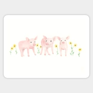 Pigs and Daisies Sticker